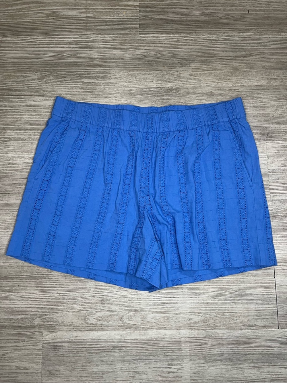 On 34th st Blue Lace Shorts Size XL Beach Summer Spring
